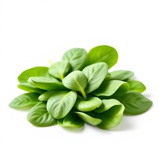 Baby Spinach