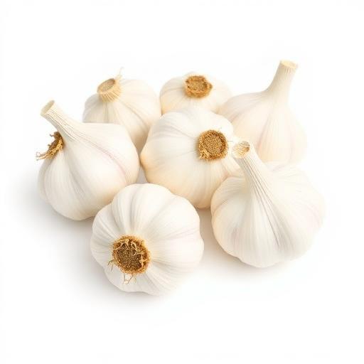 Garlic