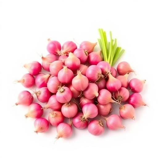 Shallots (Sambar)