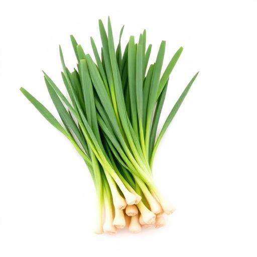 Spring Onions